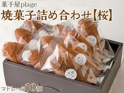菓子 plage焼菓子詰め合わせ【桜】