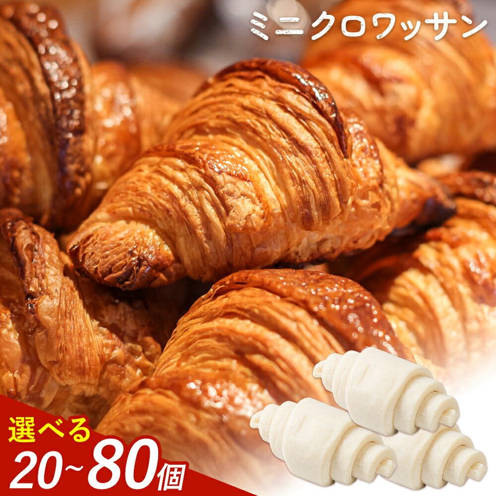 【ふるさと納税】冷凍 ミニ クロワッサン 20-80個入り 《30日以内に出荷予定(土日祝除く)》送料無料 大容量 業務用 家庭用 熊本県産小麦100％使用 パン 冷凍パン ベーカリー 生地発酵 自宅で簡単焼きたて 朝食 スイーツ おやつ 保存食