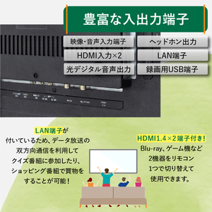 テレビ 50V型 ハイビジョン 液晶テレビ 家電 ダイコーアペックス（AP5040BJ）