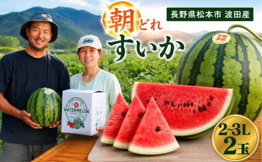 【先行受付：2027年発送】 松本市 波田産 すいか 2L～3L×2玉 │ 信州 松本市 長野県 西瓜 すいか 果物 スイカ フルーツ くだもの 新鮮 果汁 ジューシー 大きい ふるーつ 発送