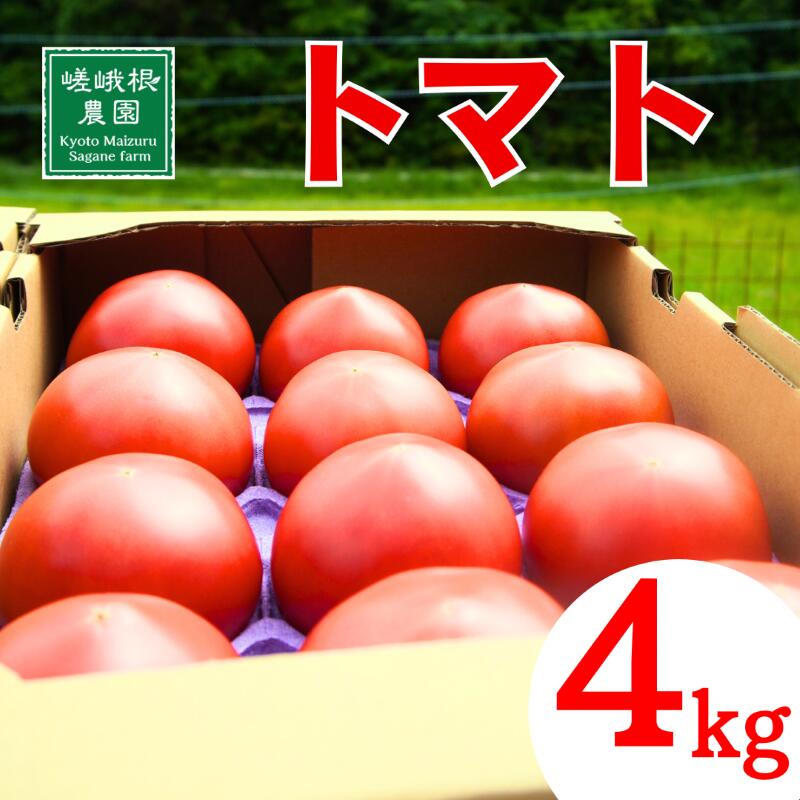 【ふるさと納税】5月下旬-7月中旬・10月末-1月頃発送 トマト 4kg 化粧箱入 農家直送 農園 直送 新鮮 野菜 夏野菜 新鮮 鮮度 抜群 舞鶴産 大玉トマト 安全 安心 大きい 完熟トマト 舞鶴トマト 評判 好評 濃厚 とまと リコピン ハウス栽培 京都 舞鶴 舞鶴市 嵯峨根農園