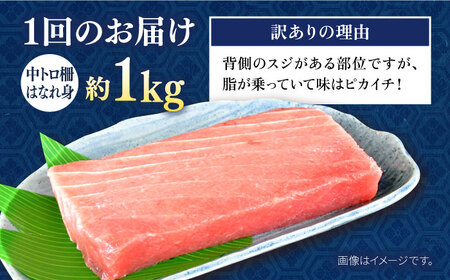 【全3回定期便】【訳あり】天然 まぐろ 中トロ柵 はなれ身（1kg） 鮪 マグロ 魚 刺身 横須賀【横須賀商工会議所 おもてなしギフト事務局（本まぐろ直売所）】 [AKAK062]