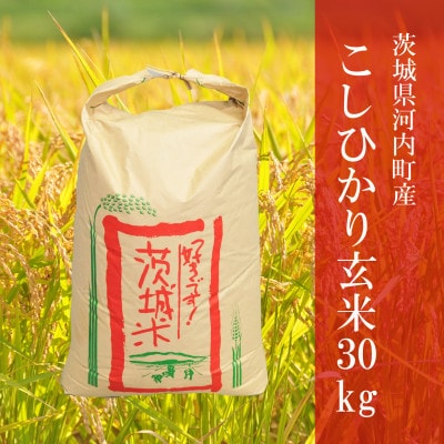 令和6年産茨城県河内町産コシヒカリ30kg(玄米)【配送不可地域：離島・沖縄県】