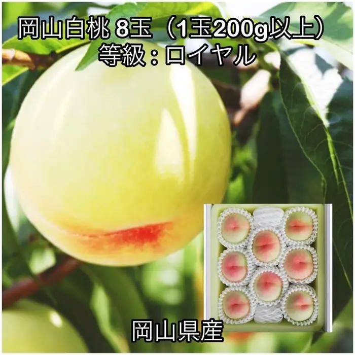 岡山白桃8玉(1玉200g以上)ロイヤル 化粧箱入り岡山県産