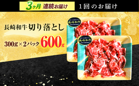 【3回定期便】長崎和牛 切り落とし 600g(300g×2)【有限会社長崎フードサービス】[OCD018]