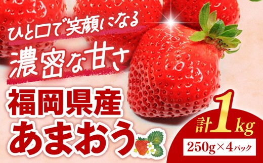 福岡県産 あまおう 4パック (約250g×4パック)【いちご イチゴ 苺 あまおう フルーツ 博多あまおう くだもの あまおういちご 福岡県産いちご 果物 福岡県 筑前町 AE003】