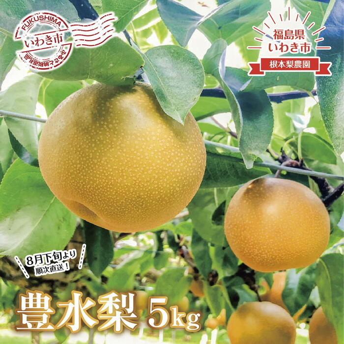 【ふるさと納税】《 先行予約 》 福島県 いわき市産 梨（ 豊水 ）5kg ｜ フルーツ 果物 くだもの 食品 人気 おすすめ 送料無料