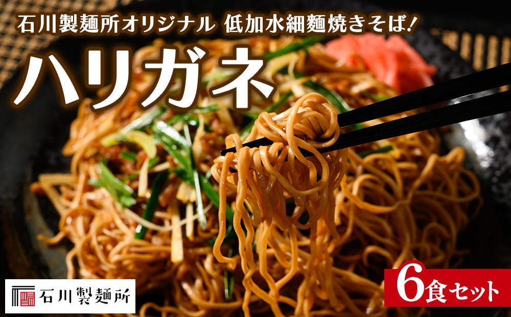 ハリガネ 6食セット