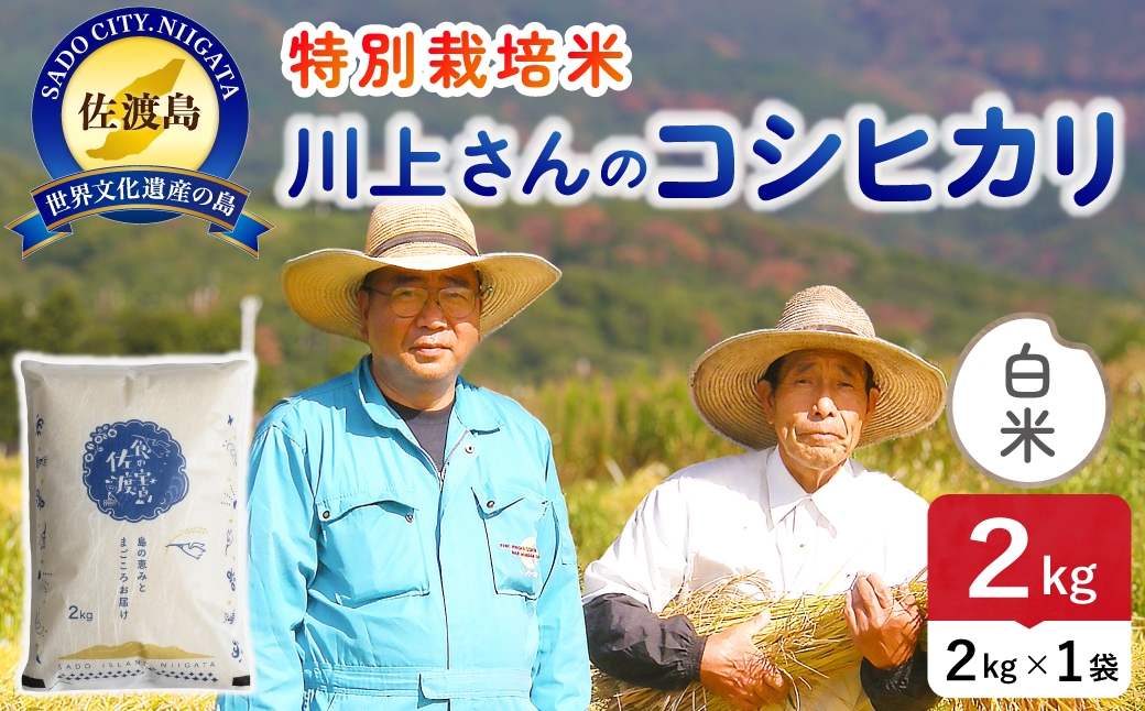 
                  令和8年産 佐渡島産川上さんのコシヒカリ 白米2kg 特別栽培米 | 新潟県産コシヒカリ 新潟産コシヒカリ 佐渡産コシヒカリ コシヒカリ 特別栽培米 お米 米 白米 精米 おこめ コメ 2キロ にいがた さど 新潟県 佐渡市
                
