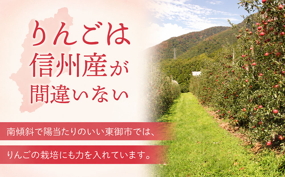 東御市産りんご 約3kg（ふじ）※11月下旬～12月中旬頃に順次発送予定