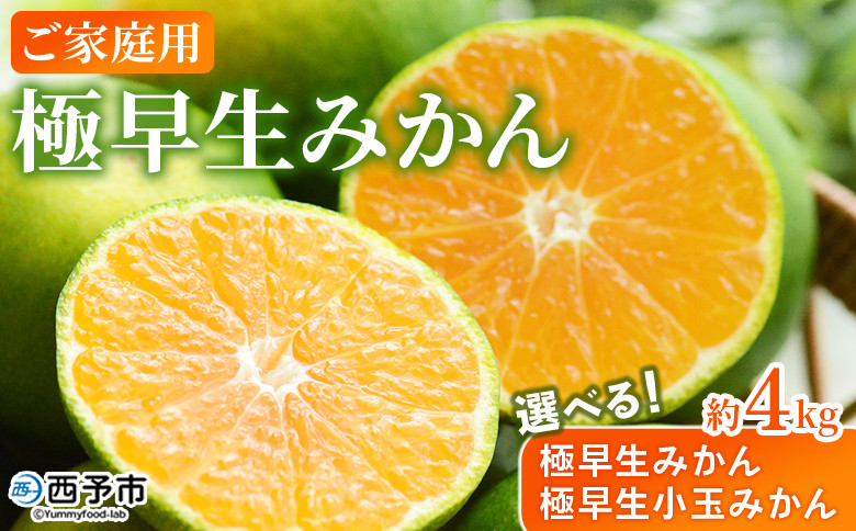 
            ＜極早生みかん / 極早生小玉みかん ご家庭用 約4kg＞ ご家庭用 果物 フルーツ みかん ミカン 蜜柑 4キロ オレンジ 柑橘 食べて応援 特産品 宇都宮物産 愛媛県 西予市 【常温】
          