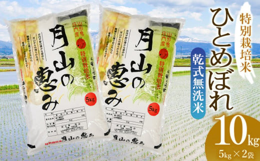 【令和6年産 新米】 特別栽培米 ひとめぼれ 乾式無洗米 10kg（5kg×2袋）山形県鶴岡市産　米工房 月山