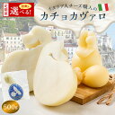 【ふるさと納税】 【定期便】カチョカヴァロ Caciocavallo 500g 選べるお届け回数 カセイフィーチョ サンフランチェスコ ナチュラルチーズ 岐阜県 可児市 しぼりたて 高品質 熟成 セミハードチーズ 食感 濃厚 ミルク 風味 歴史 伝統 グリル 野菜 パン キノコ 赤身肉 送料無料