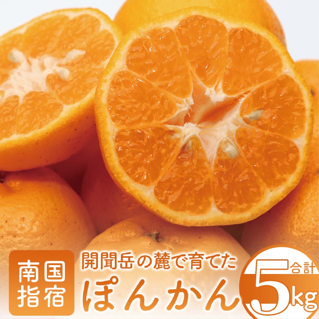 【ふるさと納税】＜期間限定！2025年12月中旬以降順次発送＞鹿児島県指宿市産！鹿児島開聞ぽんかん(約5kg) 鹿児島 ポンカン ぽんかん 果物 くだもの フルーツ 柑橘 露地栽培 ご家庭用 化粧箱 いぶすき【迫田果樹園】