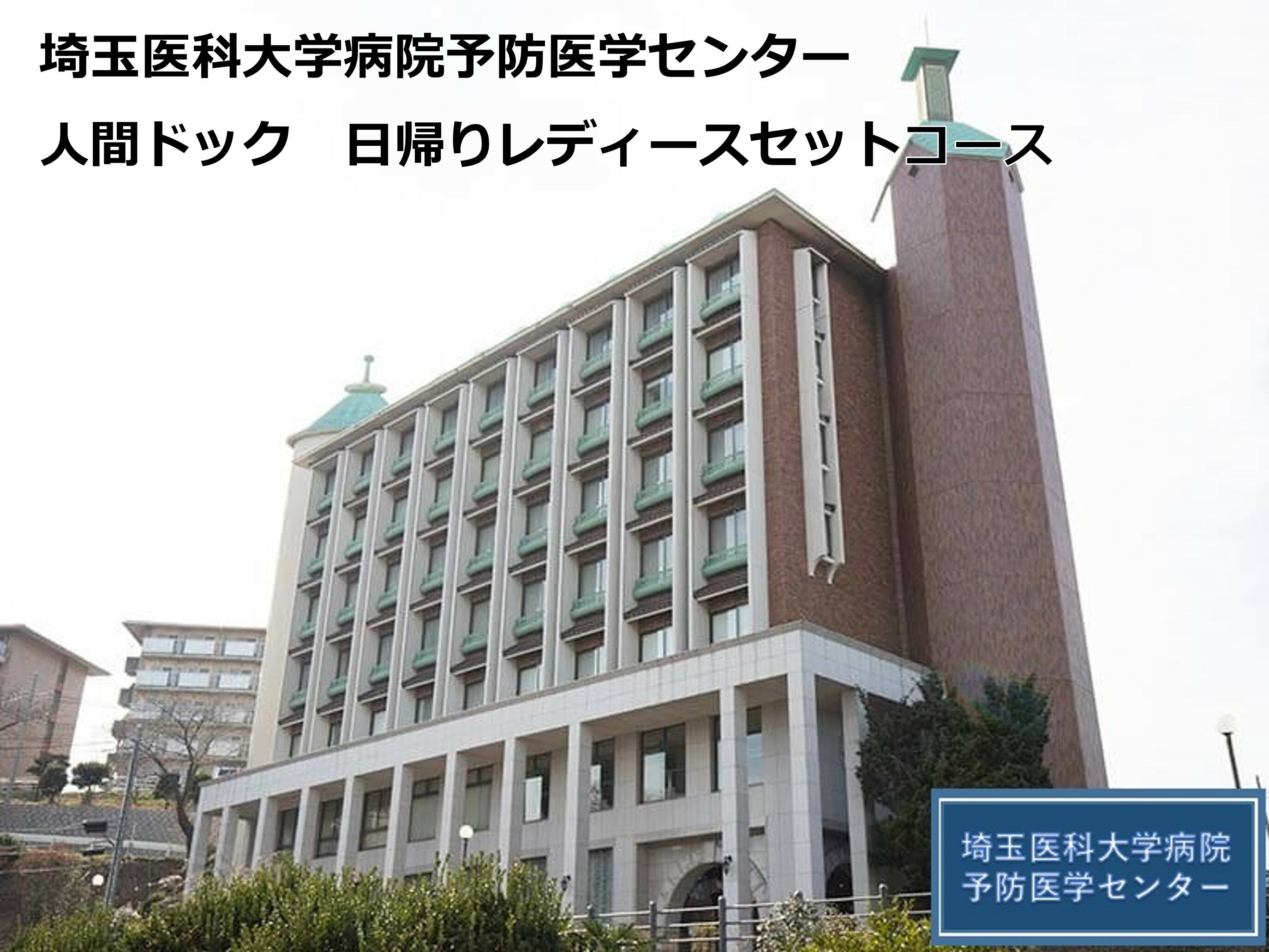 【ふるさと納税】日帰りレディースセットコース 埼玉医科大学病院予防医学センター 人間ドック 日帰り 健康診断 埼玉医大 医大 埼玉医科大学 埼玉県 毛呂山町 ふるさと納税