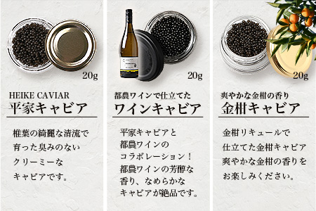 【世界三大珍味×日本三大秘境】HEIKE CAVIAR 3種食べ比べセット20g×3【産地直送】【簡易包装】