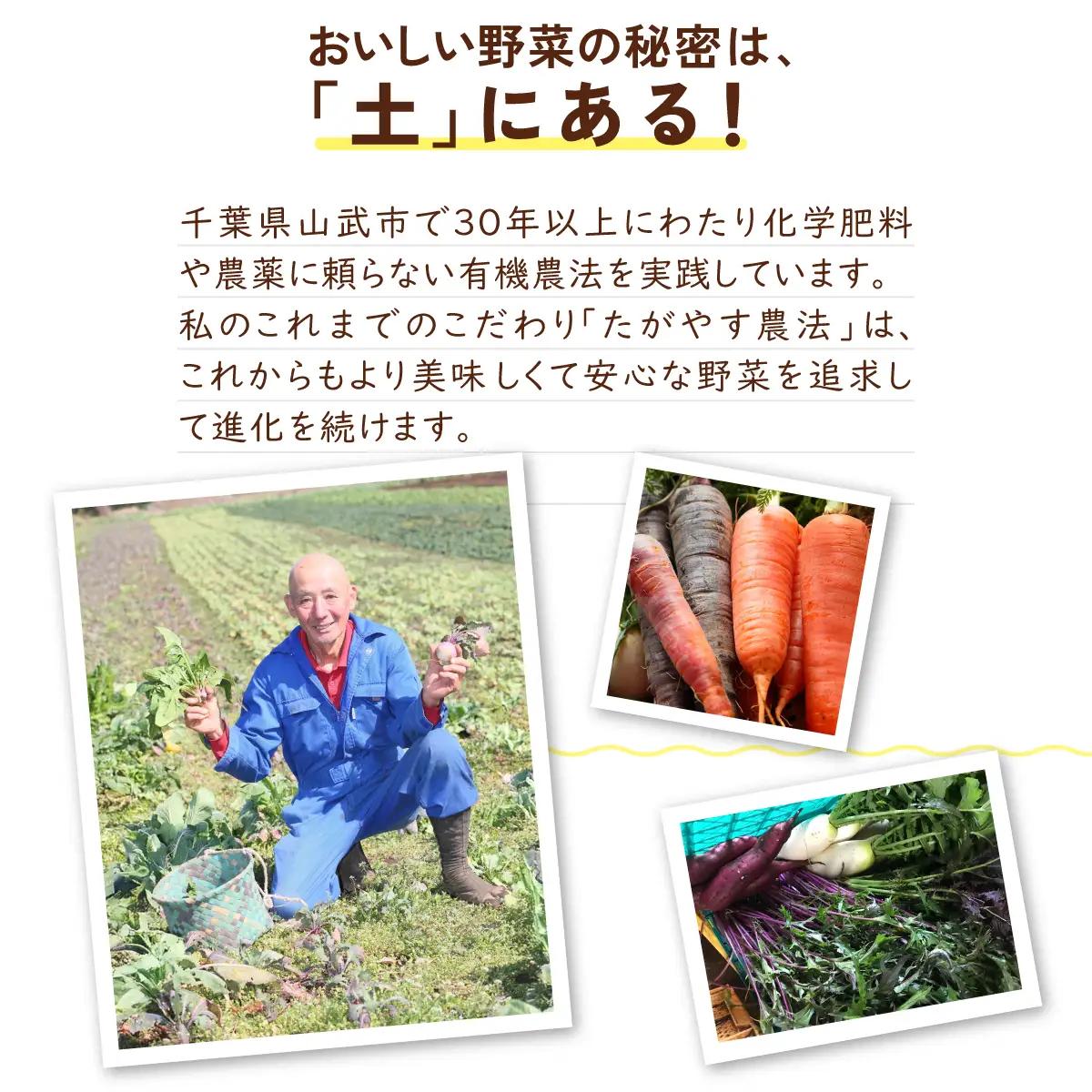 ≪5か月定期便≫有機農業の第一人者 たがやす倶楽部 齊藤 完一さんの「季節の野菜セット」 SMCL005