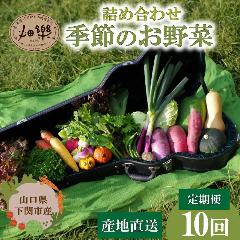 野菜 詰め合わせ 10回 定期便 野菜 野菜 野菜 野菜 IN004