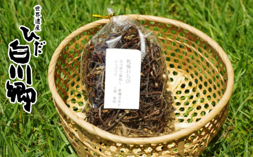 白川村の山から採れた乾燥わらび 国産 煮もの 和え物 80g 4000円 [S187]