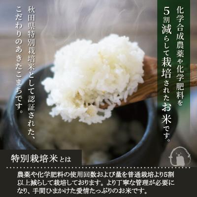 ふるさと納税 大館市 【新米先行受付】令和7年産秋田県特別栽培米あきたこまちまごころ米(無洗米)10kg(5kg×2袋) |  | 03