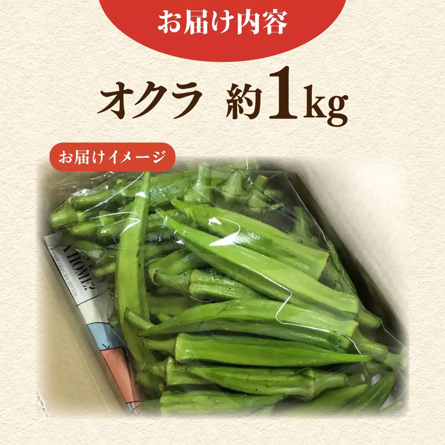 【ふるなびWEEK対象】先行予約 オクラ 約1kg AKCE023-FW オクラ