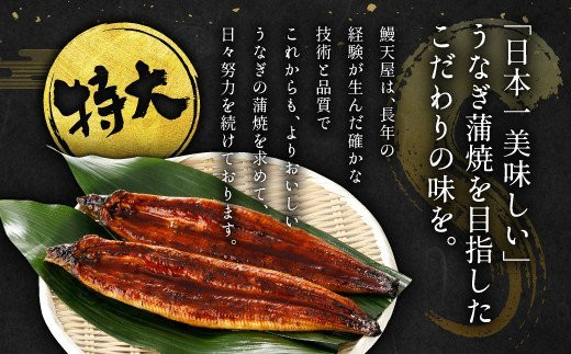 九州産 うなぎ 蒲焼 特大4尾 計880g以上 (1尾あたり220～235g)