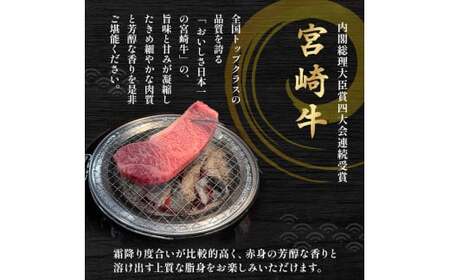 A4等級以上 宮崎牛サーロインステーキ （200g×2枚） 内閣総理大臣賞 牛肉 和牛 黒毛和牛 ブランド牛 宮崎牛 和牛 国産 サーロイン ステーキ