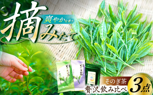 そのぎ茶 贅沢飲み比べセット (萌90g/啓90g/ティーバッグ3g×12個) 東彼杵町/中里茶農園 [BCH001] 茶 お茶 緑茶 日本茶 玉緑茶 茶 お茶 緑茶 日本茶 玉緑茶 茶 お茶 緑茶 日本茶 玉緑茶 茶 お茶 緑茶 日本茶 玉緑茶 茶 お茶