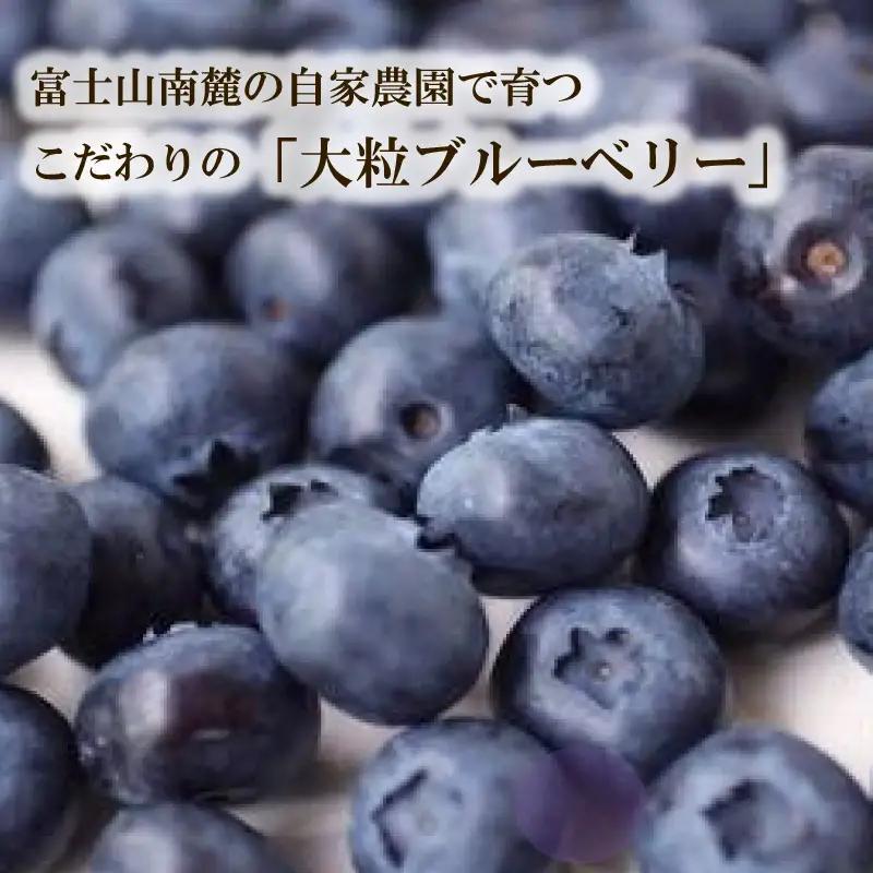 ブルーベリージャム 3個入り 100g×3個 化粧箱 フルーツ 果物 agri do 国産 手作り 朝食 パン トースト ヨーグルト 農家 富士山 南麓 自家農園 冷蔵保存 ショ糖 レモン果汁 三島市