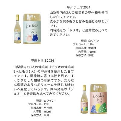 ふるさと納税 山梨市 三養醸造の飲み比べセット 甲州デュオ/甲州トリオ 750ml×2本 |  | 01