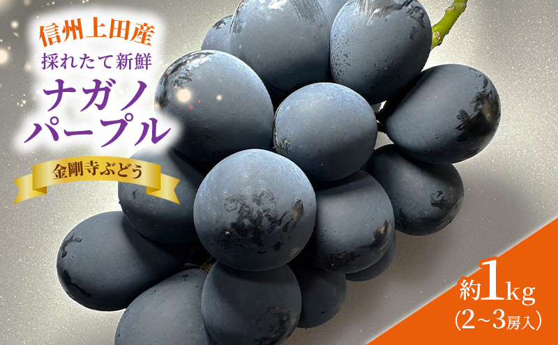 ナガノパープル 信州上田産金剛寺ぶどう 約1kg 2～3房 ぶど