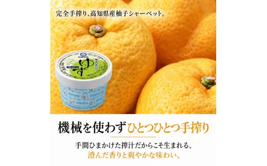 久保田食品 アイス セット D 12個 |  クリーム カップアイス アイスクリン 詰め合わせ 食べ比べ スイーツ ジェラート シャーベット 無添加 土佐ジロー すもも やまもも 柚子 苺 いちご バ