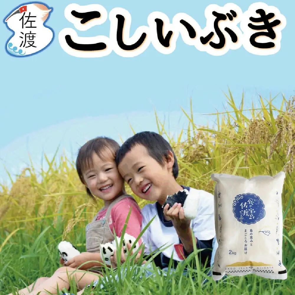 こしいぶき 白米 4kg 令和7年 こしいぶき | 新潟県 佐渡市 195962-1512