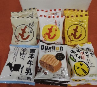 ★お中元★高知アイスの「もなかアイス」12個セット（6種類×２）