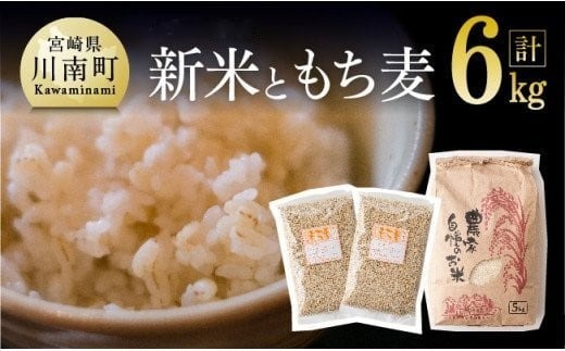 令和7年産　宮崎県産　お米5kg(夏の笑み)&もち麦500g×2袋 【 宮崎県産 米 こめ 精米 おにぎり もち麦 穀物 】[C05402]