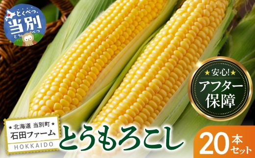 【2026年出荷】【先行予約】【数量限定】石田ファーム とうもろこし 詰め合わせ２０本セット 北海道 当別町