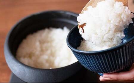 令和7年 新米 米 はるみ 5kg こめ 甘い ツヤ キヌヒカリ コシヒカリ kome  お米 白米 ご飯 ごはん 弁当 お弁当 おにぎり はくまい 美味い   精米 ブランド米 湘南生まれ 藤沢産 