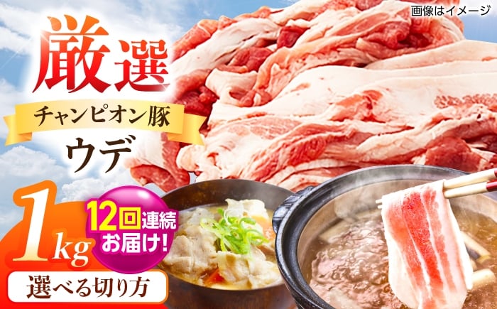 
            【全12回定期便】【選べる切り方】ええやんさくらポーク 小林ファーム 豚肉 ウデ 1kg  /亀山市/小林ファーム [AMAB046]
          