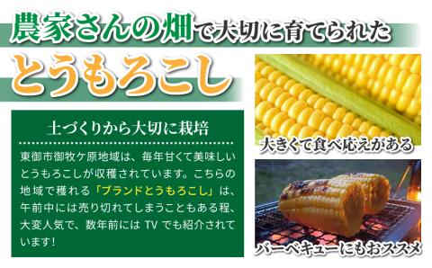 生とうもろこし 2L 6本 有機肥料使用のスイートコーン！ 長野県東御市産 ※7月中旬から順次発送予定※発送曜日指定不可