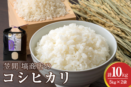 令和7年度産 笠間 塙商店の コシヒカリ 10kg（5kg×2） 米 精米 ブランド米 お米 白米 国産 おにぎり 弁当 R7年産 ごはん おいしい 旨い ふっくら お米 茨城県 笠間市 いばらき ID-020