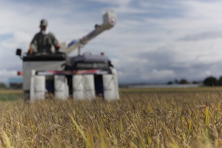 【2ヶ月定期便 10kg】 ななつぼし 定期便 10kg × 2回便 『皇室献上米 特A』＜令和7年産＞皇室献上米に選ばれた美瑛米 !JAびえい | 新米 令和7年 米 お米 こめ コメ 10kg 2