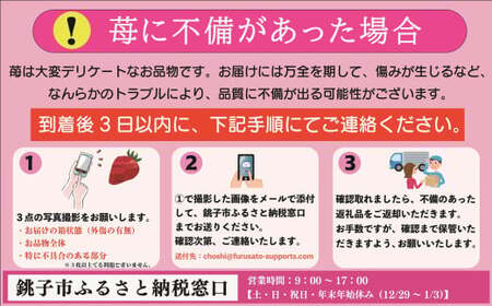 いちご 約2kg とちおとめ 小玉 250g × 8パック 苺 イチゴ 苺 イチゴ