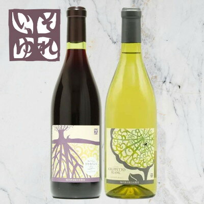 【ふるさと納税】旭洋酒　ルージュ クサカベンヌ/グルペット ブラン　720ml×2本セット【1718022】