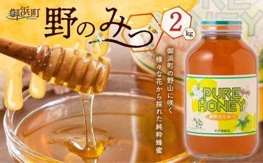 うい養蜂の野のみつ2キロ【蜂蜜 はちみつ 国産 三重県産 純粋はちみつ 百花蜜 人気 ハチミツ うい養蜂 ヨーグルト トースト 三重県 御浜町】
