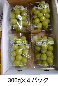 先行予約 シャインマスカット 約1.2kg (1房 約300g×4パック) 【2026年7月下旬から8月中旬発送予定】