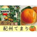 【ふるさと納税】希少品種の柿〇紀州てまり〇6～7玉入り【2024年10月下旬以降発送】 | フルーツ 果物 くだもの 食品 人気 おすすめ 送料無料 先行予約 数量限定 かき 希少