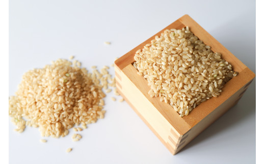 【期間限定】 ひとめぼれ 玄米 30kg お米 精米 玄米 白米 ごはん ご飯 単一原料米 茨城県産 美容 健康 69-G