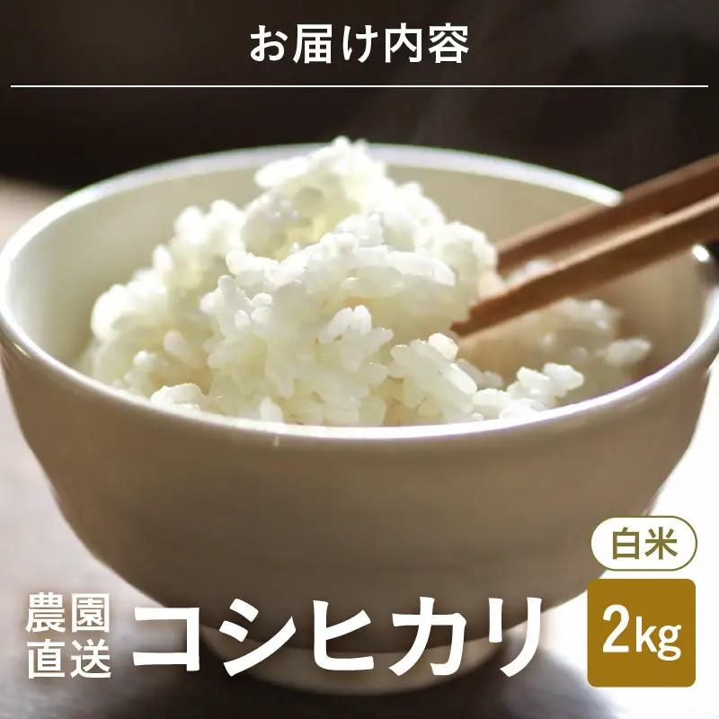 先行予約 コシヒカリ 白米 2kg ×1袋 精米 ブランド米 2026年10月上旬以降順次発送 [A-8989]