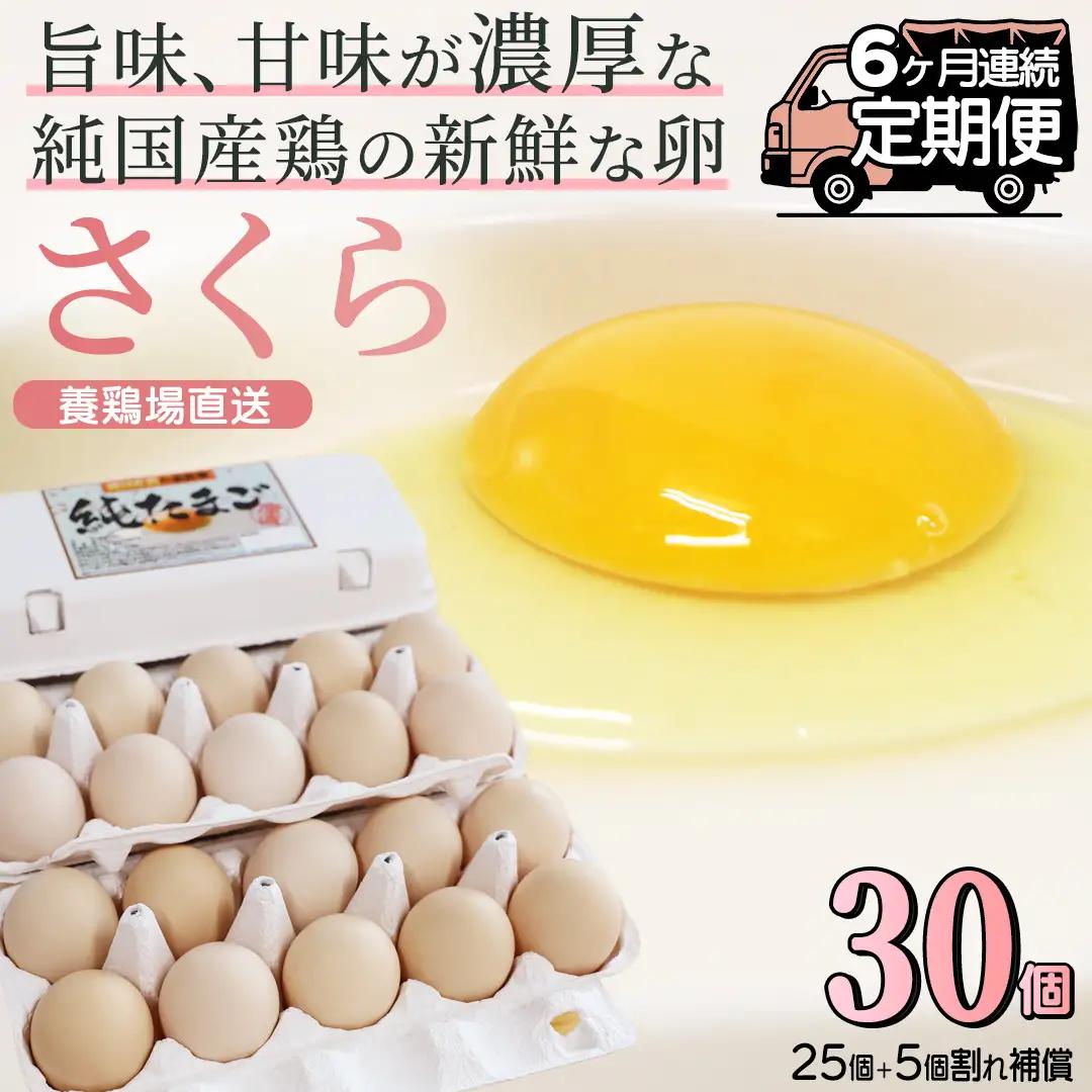 純国産鶏【さくら】純たまご30個入り 破損保証5個を含む【6ヶ月連続お届け】 (AJ029) 国産 卵 産地直送 たまご 飼料にこだわった 玉子 鶏卵