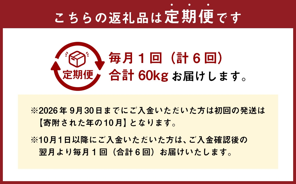 【 6回定期便 】 【 令和8年産 】 ゆめぴりか （ 精白米 ） 約10kg （ 約10kg × 1袋 ） お米 米 こめ コメ 白米 白飯 飯 ご飯 おにぎり 国産 北海道産 ブランド米 ブランド